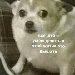 안녕 안녕, Санкт-Петербург