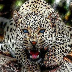 Валентина Суздалева, 20.07, Алматы