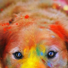 Никита Дзержинский, Дзержинск