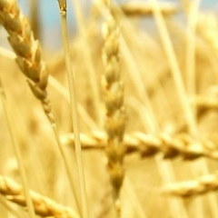 Vladimir Kolosov, Москва