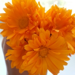 Эмине Таджиева, 08.06.1986, Черноморское