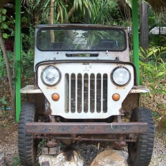 Ольга Мальцева, 05.11, Москва