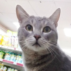 Александр Петушков, 04.04, Якутск