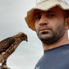 Алан Абаев, 01.01.1988, Владикавказ