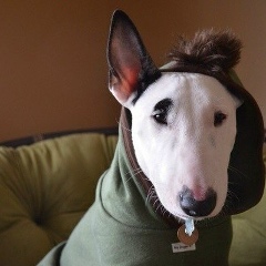 Никита Золотухин, 03.06.1990, Тверь