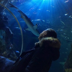 Денис Беккер, 20.07, Dortmund