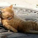 Гимроша ))), 03.07.1975, Беларусь