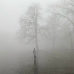 Денис Шейко, 19.05.1987, Тбилиси