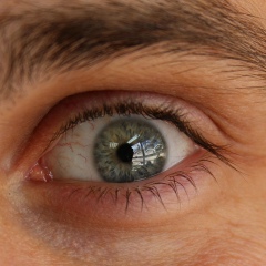 Петр Крауз, 30.07, Москва