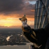 Анита Давыдова, 06.10.1999, Бакал