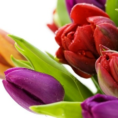 Гулжан Изжанова, Актау