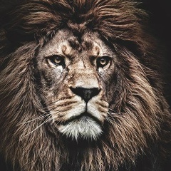 Олег Гребенюк, 31.07.1984, Киев