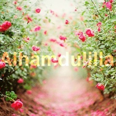 Aidana Bigazieva, 01.01.1993, Алматы