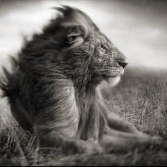 Женя Ярошевич, 03.08, Пермь