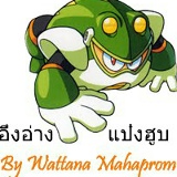 Bull Frog, 15.01.1996, Chiang Mai
