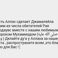 Абу Сунженский, 07.06