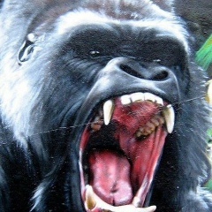 Александр Миронов, 29.12, Санкт-Петербург