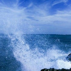 Raihan Esenova, Алматы