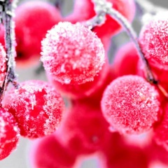 Ольга Сидорова, 11.02.2001, Кокшетау