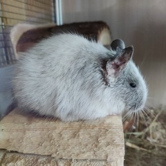 Аня Антонова, 02.07.1988, Санкт-Петербург