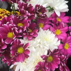 Наргиза Мирзаюсубова, 22.10.1995