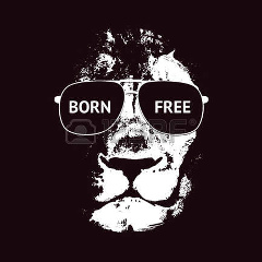 Вадим Тарикулиев