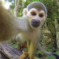 Дмитрий Рассыльнов