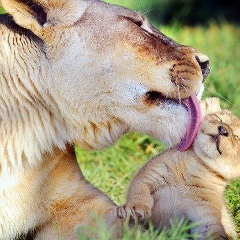 Анна Русских, 03.08, Южное