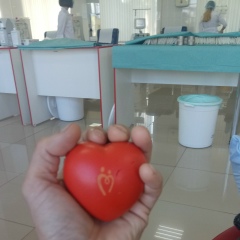 Матвей Пересвет, 13.06.1986, Новосибирск