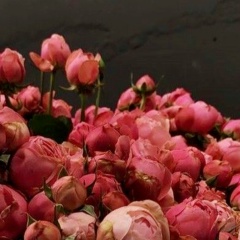 Анастасия Панина, 25.08, Симферополь