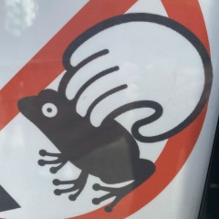 Алиса Визариева, 26.11, Москва