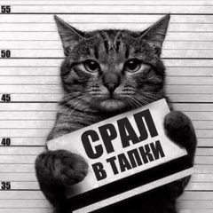 Elnur Mamedov, 14.01.1988, Москва