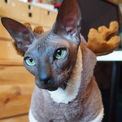 Александр Пересыпкин, 04.07, Москва