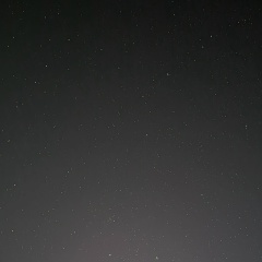 Кошачий Суп, Москва