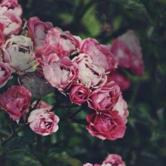 Agniya Gir, 30.06.1996, Астана