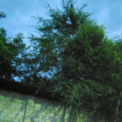 Bogdan Kiba, 01.09, Кишинев