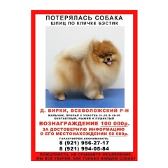 Алина Юдина, Санкт-Петербург