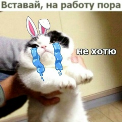 Артур Азнагулов, 17.06