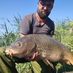 Борис Скрыпников