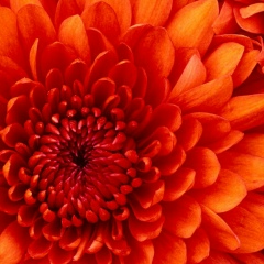 Эльмира Адырбекова, 13.11.1983, Петропавловск