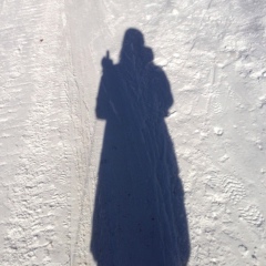 Анна Лысенко