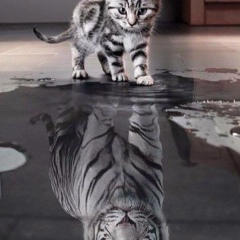 Антон Ростов, 04.05.1986, Ростов-на-Дону