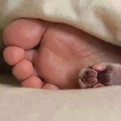 Сергей Васильев