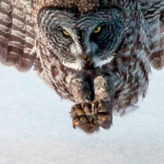 Ваняресторатор Коновалов, 07.07.1988, Москва