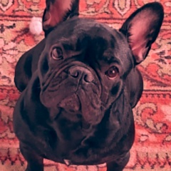 Радик Х, Оренбург