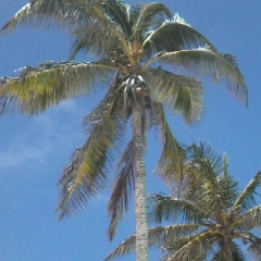 Андрей Денисов, 27.08.1984, Варна