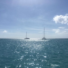 Елена Свиридова, 16.10.1984, Москва