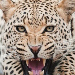 Анастасия Петрова, 28.01, Санкт-Петербург