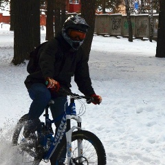 Николай Кривошеев, 16.12