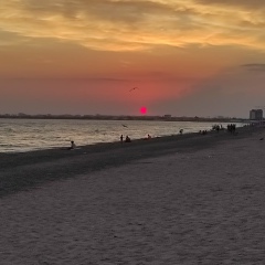 Мария Веденеева, 05.11.1978, Москва